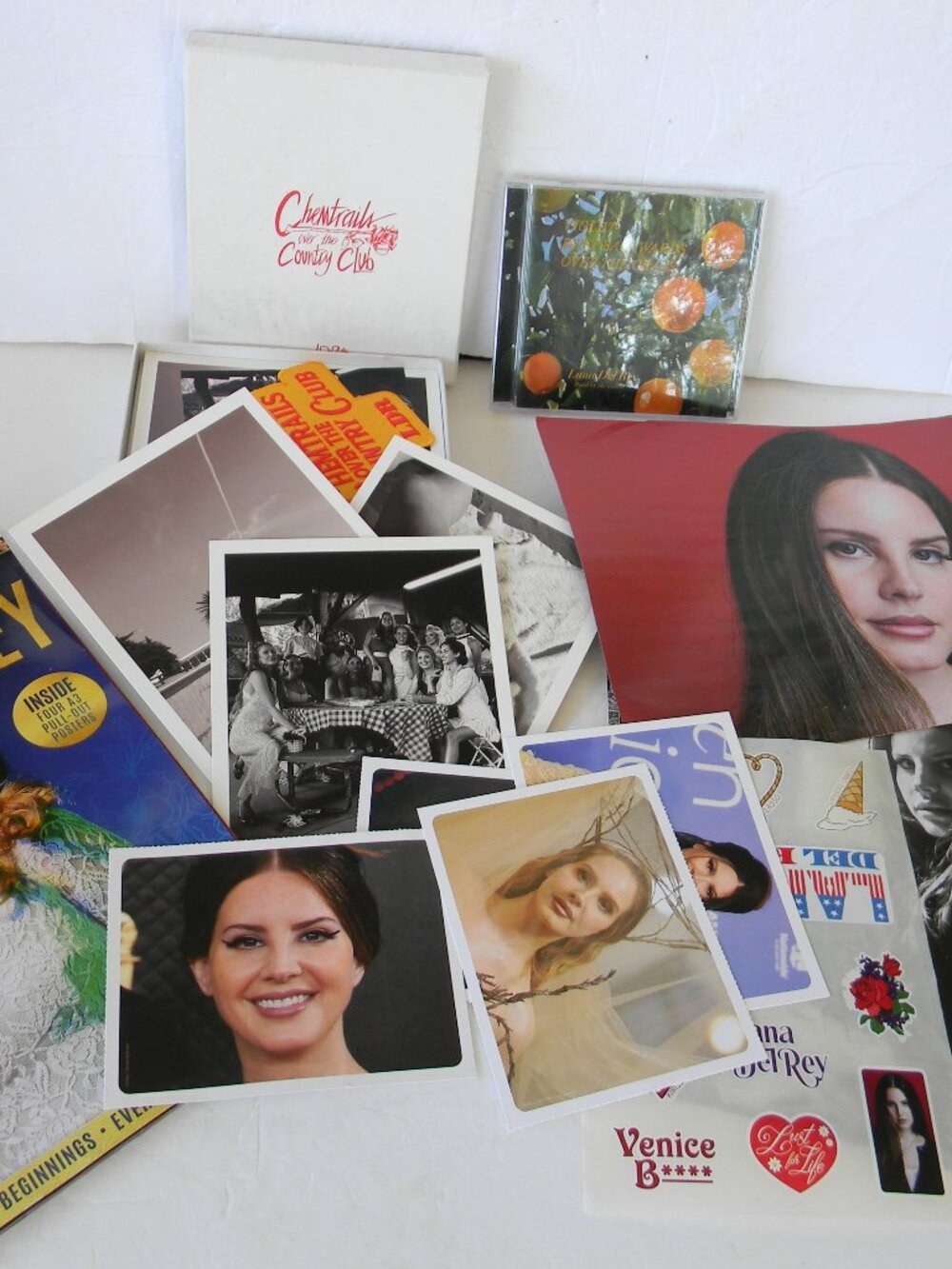 LANA DEL REY BUNDLE/LOT DELUXE BOOK SET CD/MAGAZINE/POSTERS CDS
